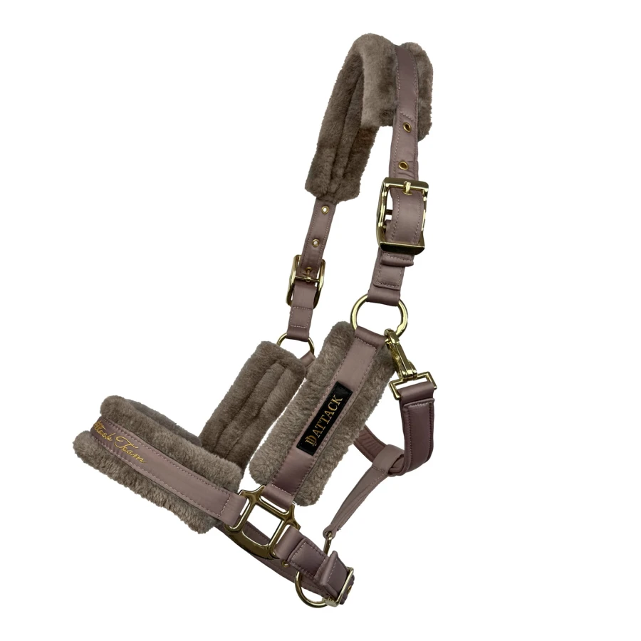 3896.jpg